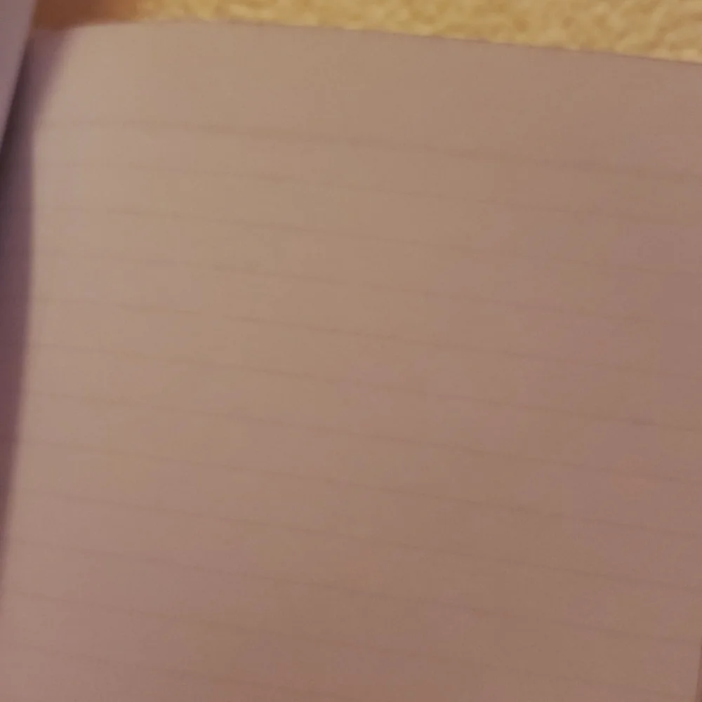 𝅺notebook / journal NWT